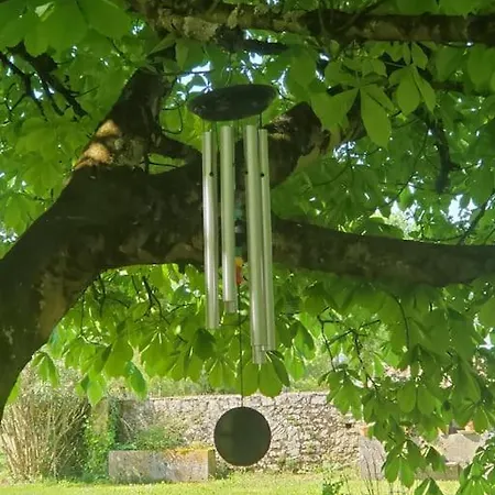 La Pacha Chouette *