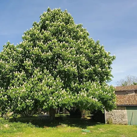 La Pacha Chouette Holiday home *