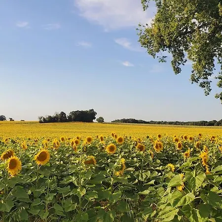 Semesterbostad La Pacha Chouette Grézac