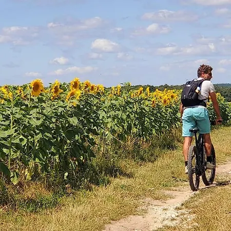 La Pacha Chouette Grézac