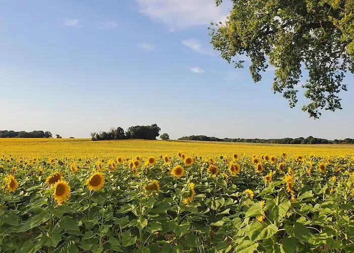 בית נופש La Pacha Chouette Grézac
