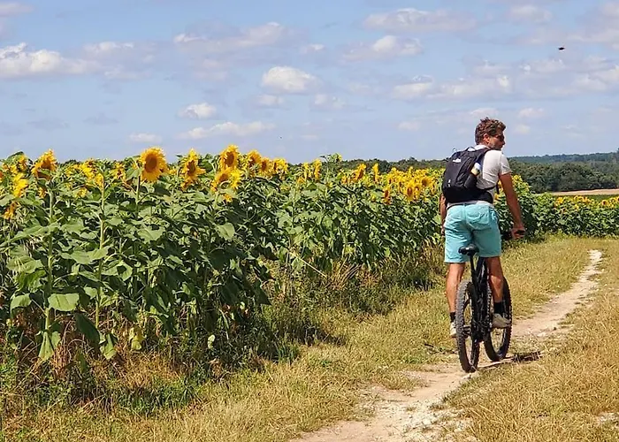 La Pacha Chouette Grézac
